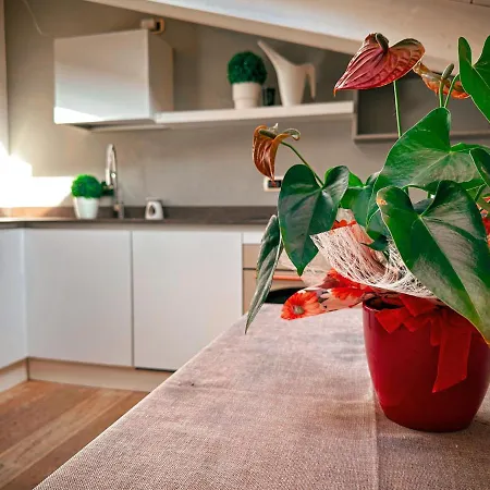 Accogliente Mansarda In Centro Storico * 라벤나